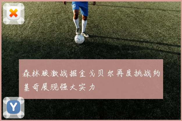 森林狼激战掘金戈贝尔再度挑战约基奇展现强大实力