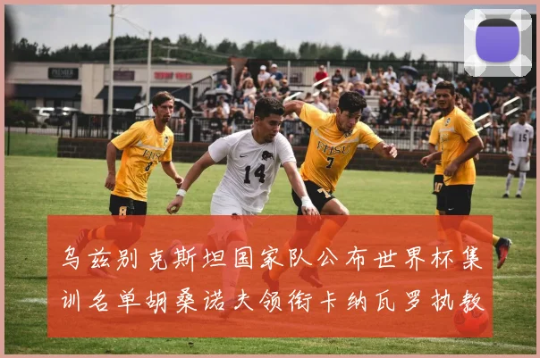 乌兹别克斯坦国家队公布世界杯集训名单胡桑诺夫领衔卡纳瓦罗执教
